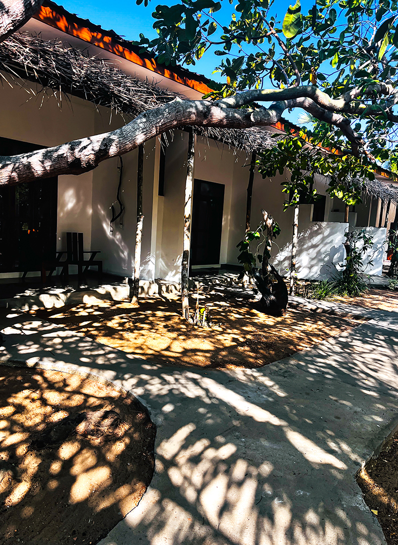 Exterior view of rooms with thatched roof and garden