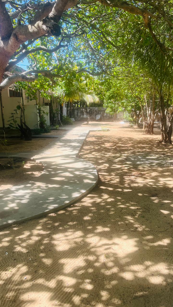Shaded walk from Footmark Surf Stay toward the beach