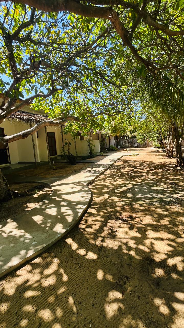 Shaded garden pathway at Footmark Surf Stay leading to the rooms